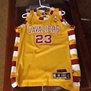 Lebron James (hardwood classics)